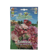 ΓΟΔΕΤΙΑ (ΚΑΛΟΚΑΙΡΙΝΗ ΑΖΑΛΕΑ)
